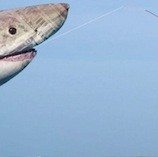 reel in conversions thumbnail